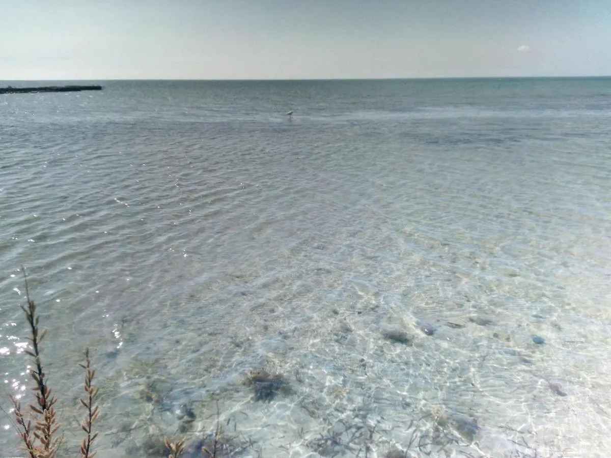 Rosa Dei Venti-Laguna Dello Stagnone Marsala Villa